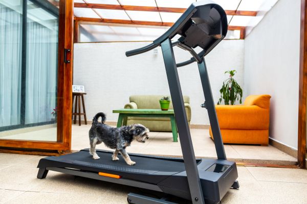 Treadmill Installation in Idaho Falls