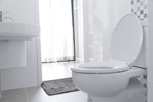 Toilet Seat Installation in Idaho Falls