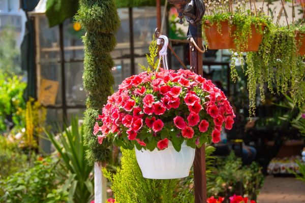 Hanging Planter Installation in Idaho Falls
