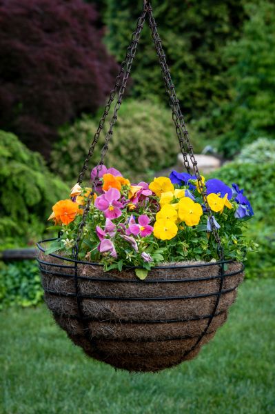 Hanging Basket Installation in Idaho Falls