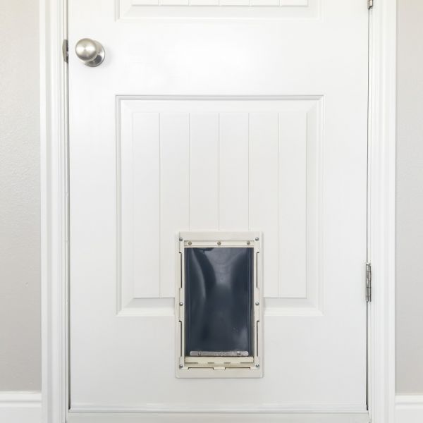 Pet Door Repair in Idaho Falls