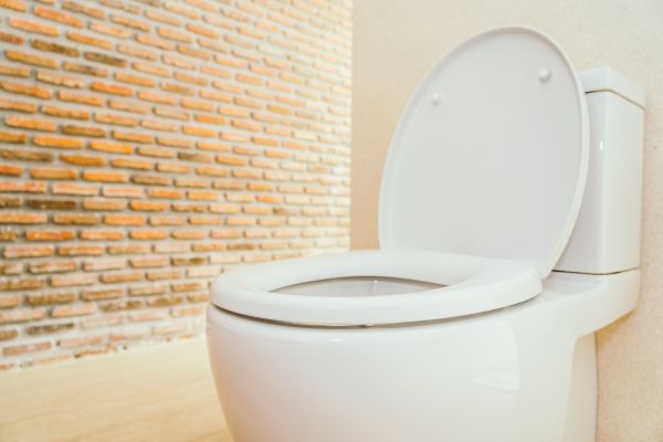 Toilet Seat Repair in Idaho Falls